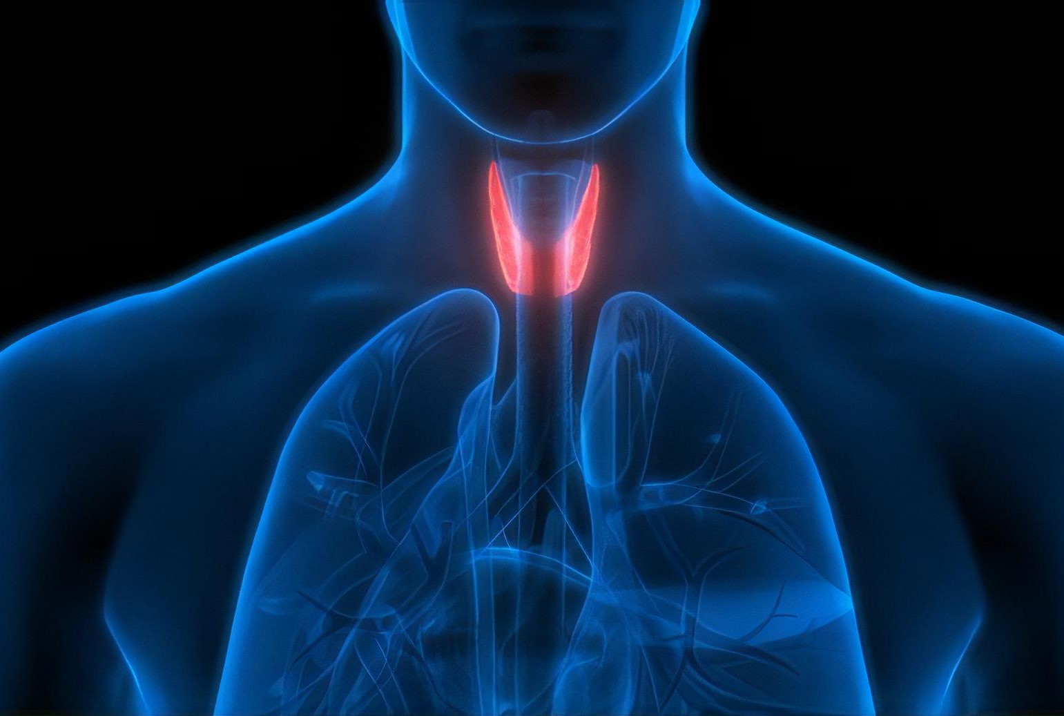 endocrinologiaveramedpiovedisacco